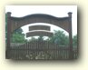 nimg_4590